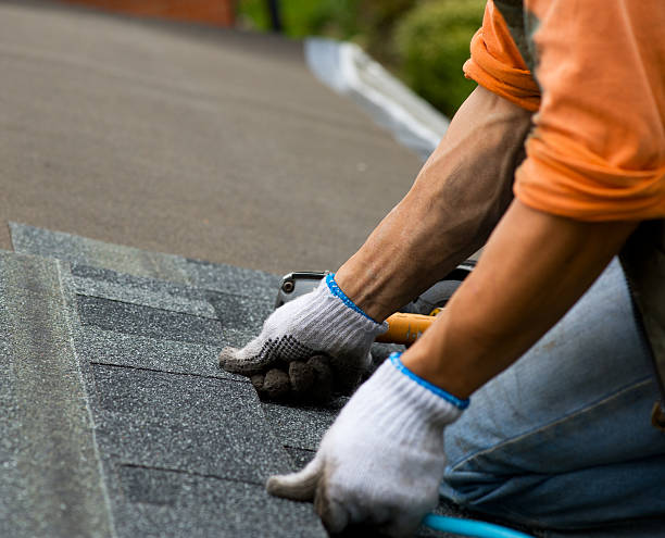 Roof Gutter Cleaning in Millersville, PA